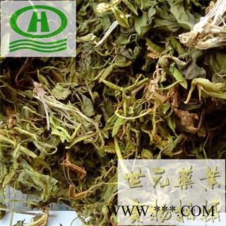 世元药业 紫花地丁 正品 只卖真货 甜地丁【全品除尘中药】野堇菜 光瓣堇菜 光萼堇菜图1
