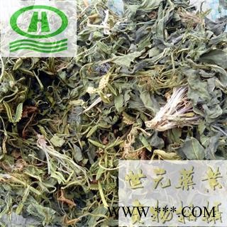 世元药业 紫花地丁 正品 只卖真货 甜地丁【全品除尘中药】野堇菜 光瓣堇菜 光萼堇菜图2