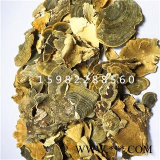 【满298元包邮】云芝野生云芝 选装 产地 云南省西双版纳傣族自治州景洪市图2