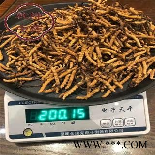 冬虫夏草 藏虫草精选3000条 产地 西藏自治区【诚信经营 品种齐全】图2