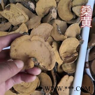 桑黄 东北桑黄 桑黄灵芝 德誉堂药业批发各种中药材图4