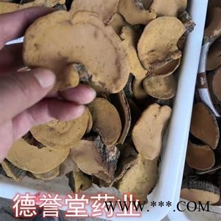 桑黄 东北桑黄 桑黄灵芝 德誉堂药业批发各种中药材图2