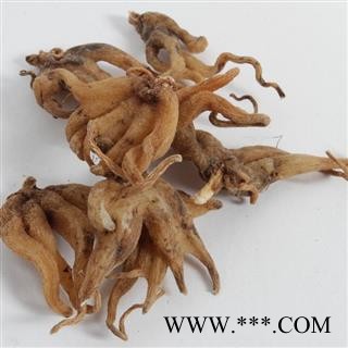 手掌参 手掌参选货 产地 辽宁省 凯捷中药图2