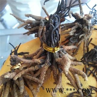 小丽百草行冬虫夏草 冬虫草 青海虫草5000条 产地 青海省图2