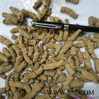 巴戟天 巴戟肉一级选个  全抽心 产地 广东省图2