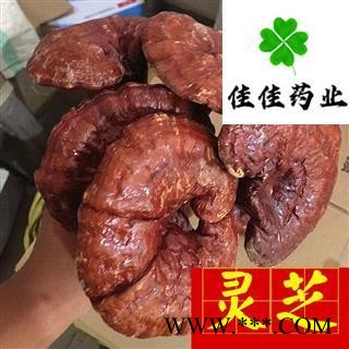 灵芝 选装灵芝个 实物图 品质保证 批发各类中药材 冷背货 矿石等 产地 吉林省图2