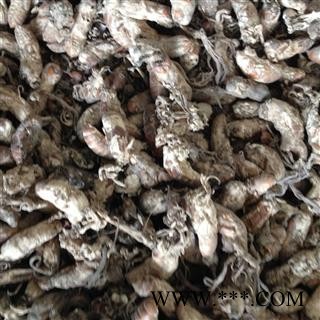 蝉花 金蝉花 金虫草 蝉花统货 产地 安徽省安庆市图3