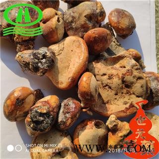 世元药业 须元参(假货为灵芝)七须元 须元芝 硬髯毛无心菜 硬毛无心菜  硬髯毛蚤缀 觅阳参图2