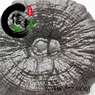 灵芝黑灵芝江西优质黑灵芝1公斤起售欢迎选购一手货源合作共赢专注品质，诚信信邦！图2