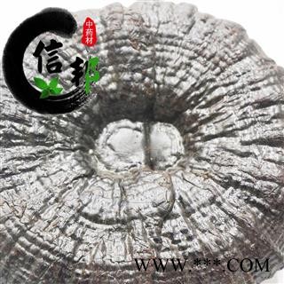 灵芝黑灵芝江西优质黑灵芝1公斤起售欢迎选购一手货源合作共赢专注品质，诚信信邦！图3