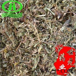 世元药业 蒲公英 野大叶 带根药效更好 华花郎 蒲公草 尿床草 婆婆丁图2