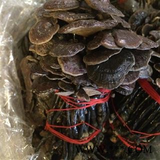 灵芝竹灵芝越南竹灵芝一公斤起售专注品质,诚信信邦!图3