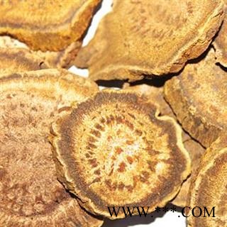 大黄 正品马蹄大黄 统 产地 四川省 产地直销 重在质量图2