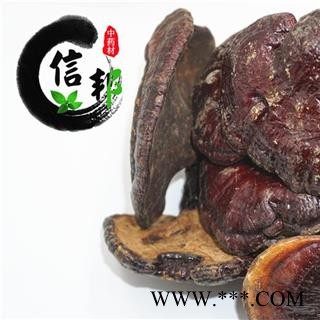 赤灵芝江西野生赤灵芝正宗野生专营贵细类冷被偏门专注品质，诚信信邦！图3