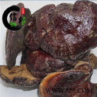 赤灵芝江西野生赤灵芝正宗野生专营贵细类冷被偏门专注品质，诚信信邦！图2