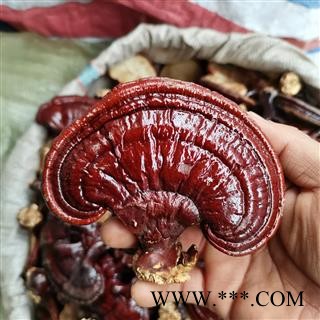 赤灵芝 贵一点好很多 实图拍照正品保证质量7天无理由退货退款 安品堂图2