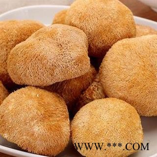 猴头菌 猴头菇正品保证质量 7天无理由退货退款 中药材批发 丽丽药业图2