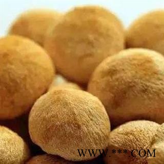 猴头菌 猴头菇正品保证质量 7天无理由退货退款 中药材批发 丽丽药业图4