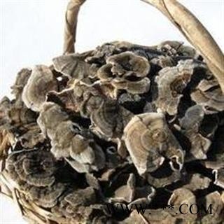 云芝 木灵芝 树蛇 瓦菌 灰芝 黄云芝 正品保证质量7天无理由退货退款 华安堂图4