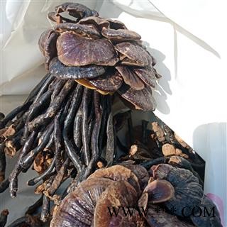 丽丽药业 灵芝竹灵芝中药材批发正品保证实图拍照7天无理由退货退款图4