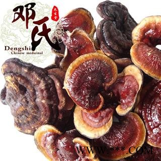 【满包邮】灵芝 金边灵芝 产地 吉林省白山市长白朝鲜族自治县 邓氏中药行图2