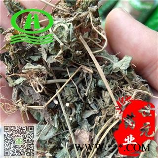 世元药业 臭灵丹 正品 别称 鹿耳林 大黑药 鹿耳苓 鹿耳草 六角瓣 八楞风 臭灵丹 四方根 六耳消 八棱锋 狗咬癀 鹿都草 百草王 六耳铃 四棱锋 四方艾 六耳棱图2