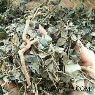 安祁名药 绣花针 虎刺图2