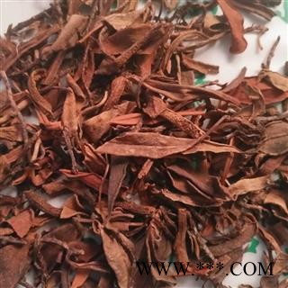 安祁名药正品抱石莲  鱼鳖草 金丝鱼鳖图2