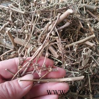 安祁名药正品黄花稔  梅肉草图1