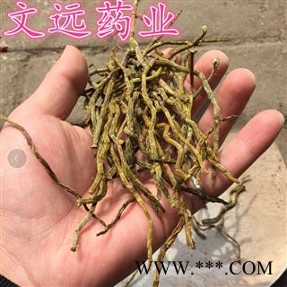 石斛 铁皮石斛  金钗  金石斛 产地 云南省图3