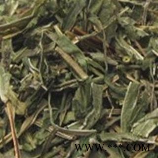 凤尾草 01 凤尾草  产地 湖北省孝感市大悟县图2