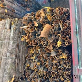 【满包邮】黄柏 统货 1000g 包药检 四川产地 【专业批发 品种齐全】图3