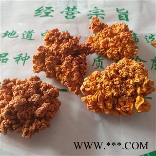 安祁名药优质菌汤金耳 脑耳图2