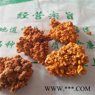 安祁名药优质菌汤金耳 脑耳图1