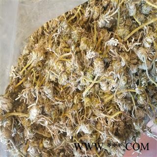 安祁名药正品野生石斛图2