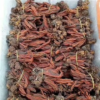 安祁名药优质草苁蓉 野生不老草顶天柱草苁蓉锁阳男性泡酒料图3