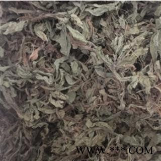 安祁名药正品地胆草 苦地胆图2