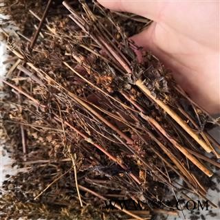 安祁名药正品中药材藏茵陈 西藏野生藏茵陈图3