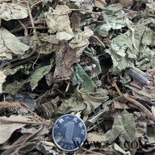 鱼腥草 野生 统装 产地 四川省图4