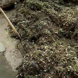 蒲公英 野生蒲公英 根带叶 干净 过筛子 切片 产地 河南省图2