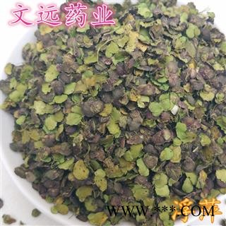 浮萍 紫背浮萍 青色  浮萍草 产地 河南省图2