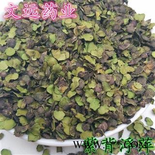 浮萍 紫背浮萍 青色  浮萍草 产地 河南省图3