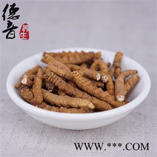 【满包邮】大肉节去尾冬虫夏草 产地西藏那曲 中药材批发 规格齐全图2