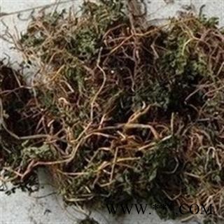 安祁名药正品野生一朵云 小春花 阴地蕨图3