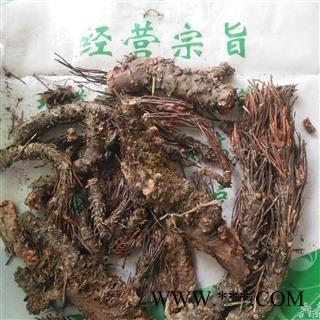 安祁名药正品凤尾七 小丛红景天 凤尾草  天然无硫图2