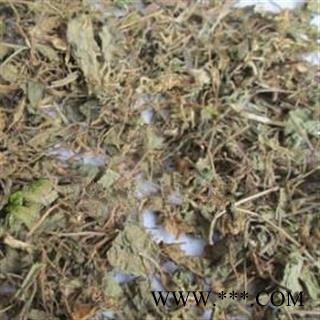 安祁名药正品芨芨草 积机草 席萁草 枳芨草.图2