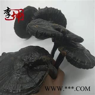 【包邮】灵芝 紫灵芝个子【良心经营 品种齐全】图4