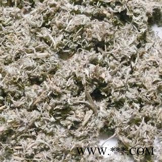 茵陈 茵陈 选,绵茵陈,新鲜货, 批发各种规格名贵药材 产地 河南省南阳市市辖区图4