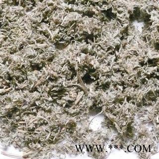 茵陈 茵陈 选,绵茵陈,新鲜货, 批发各种规格名贵药材 产地 河南省南阳市市辖区图3