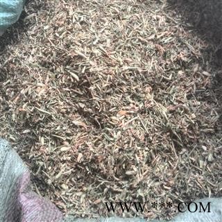 瞿麦 干净过筛子  瞿麦 切片 产地 河南省图3